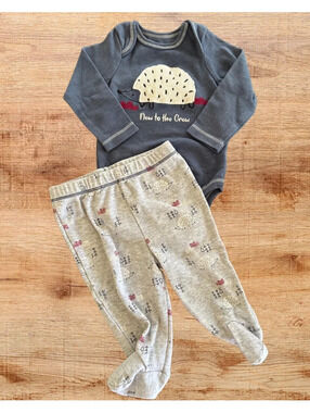 Sterling Baby 2-Piece Porcupine Footed Outfit 6M Gray & Blue